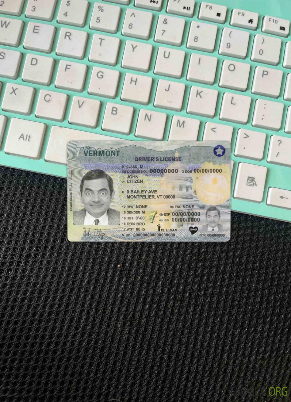 Modèle de permis de conduire USA Vermont au format PSD (2019 – présent) photolook FRONT